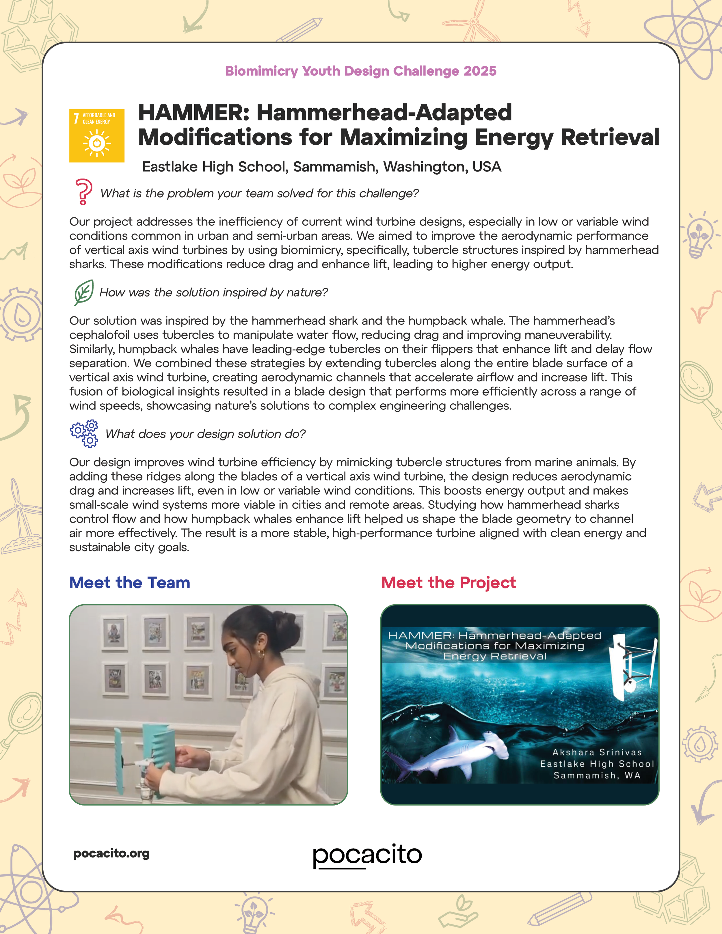 Pocacito Biomimicry Posters12.png