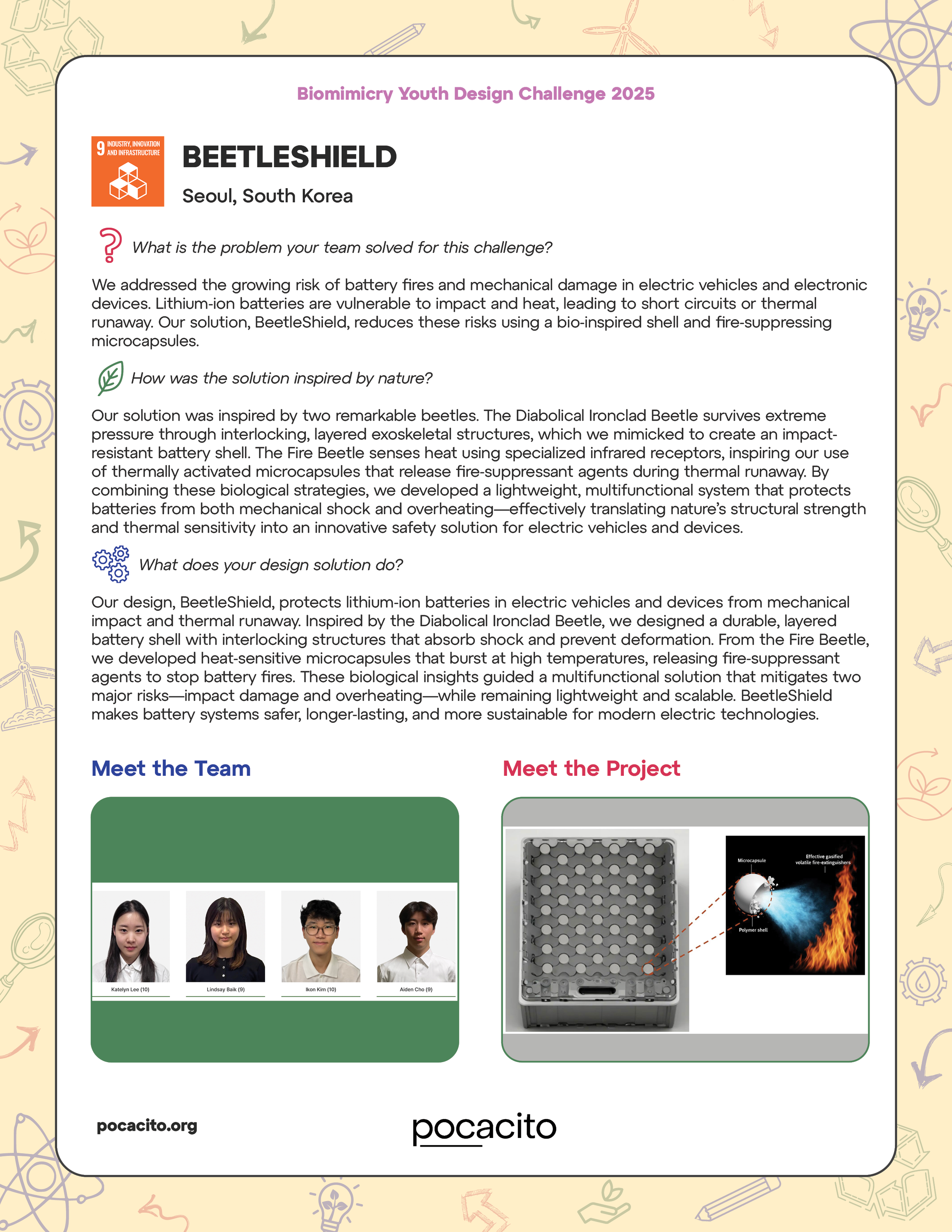 Pocacito Biomimicry Posters15.png