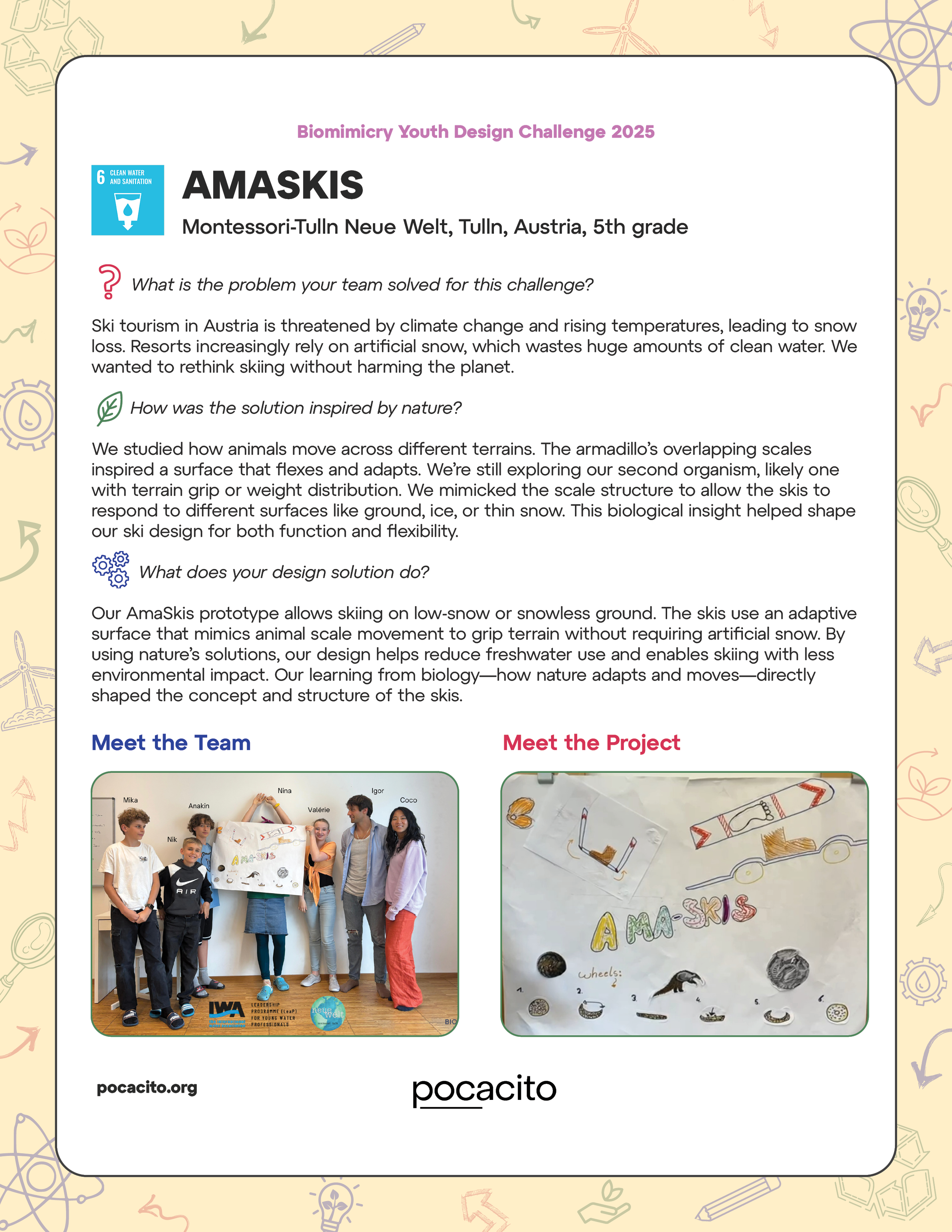 Pocacito Biomimicry Posters3.png