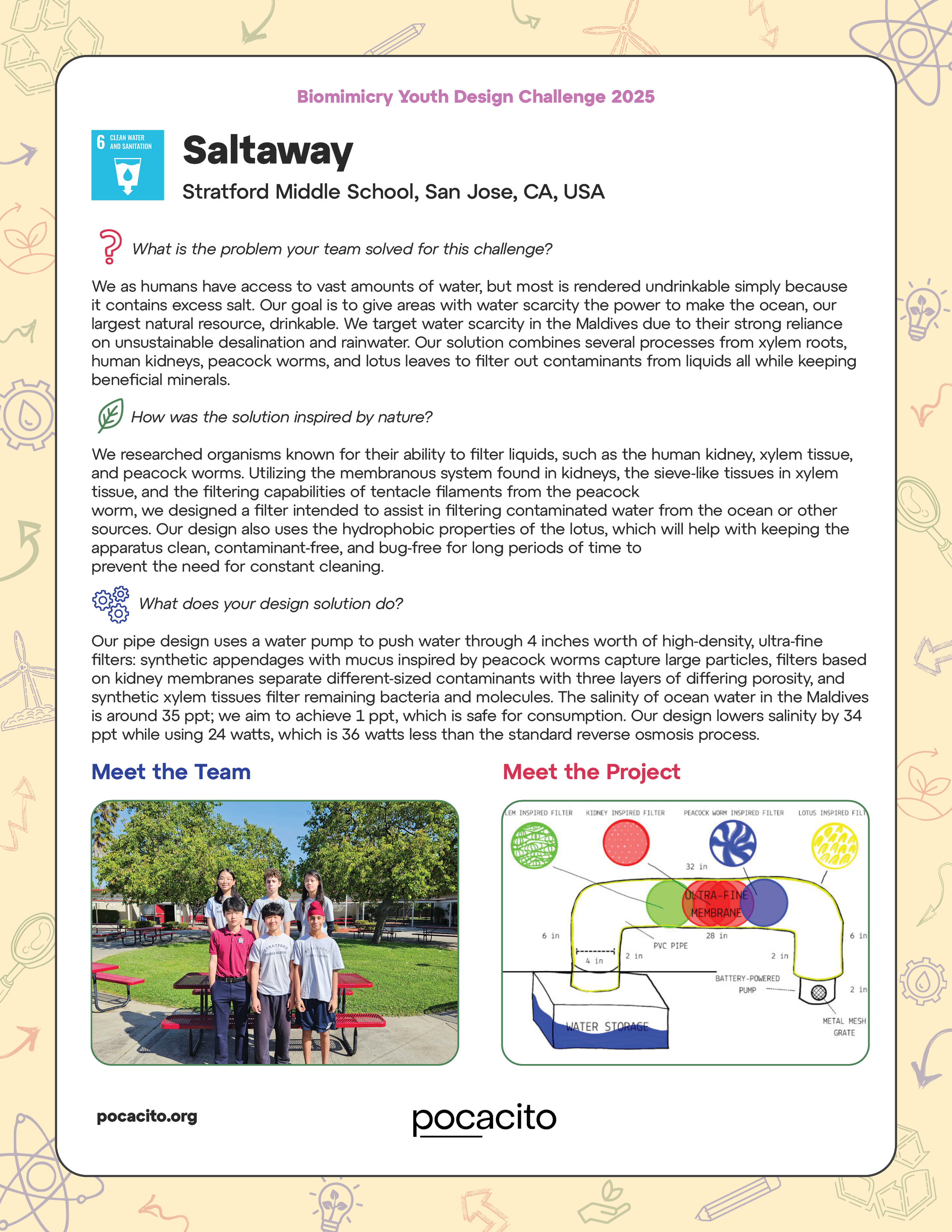 Pocacito Biomimicry Posters.png