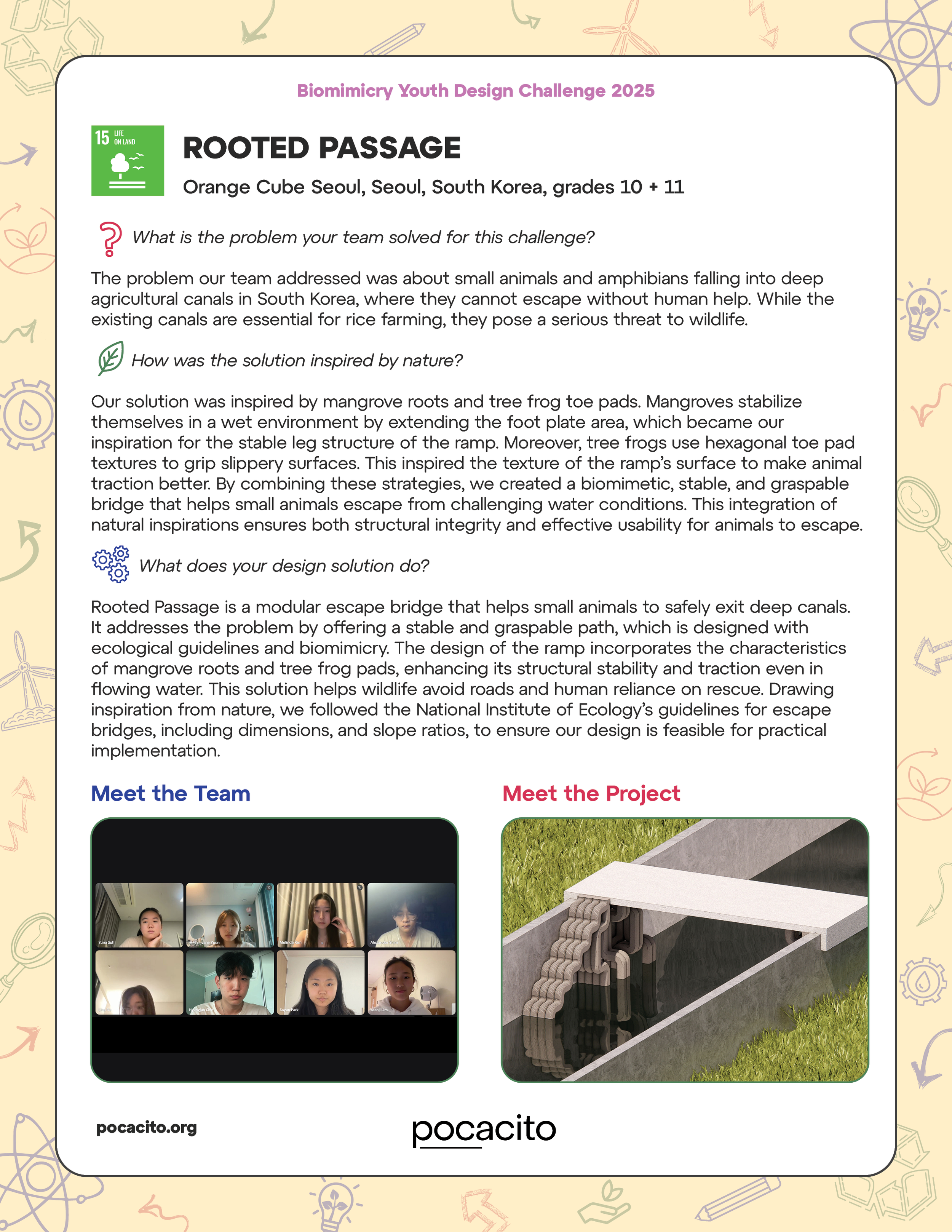 Pocacito Biomimicry Posters30.png