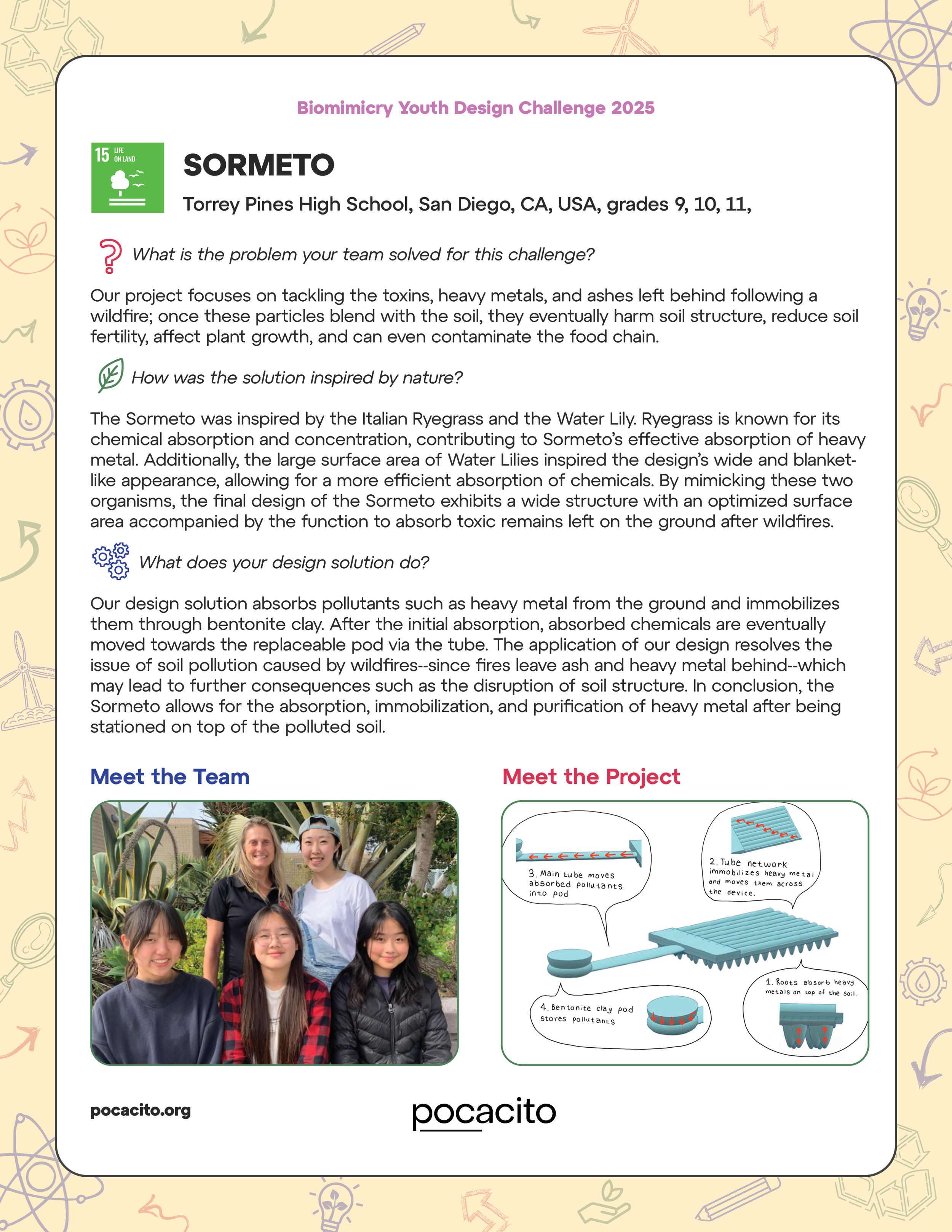 Pocacito Biomimicry Posters31.png