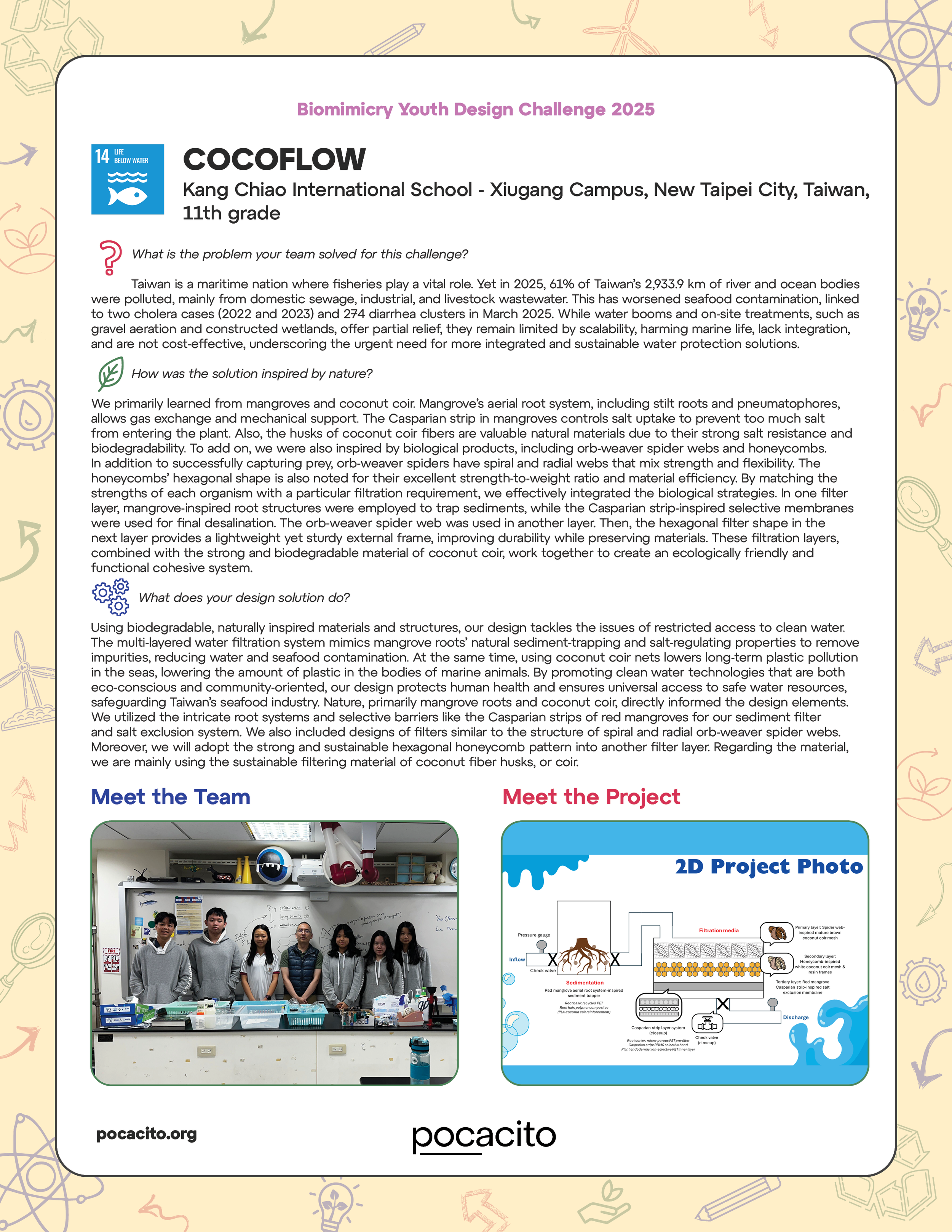 Pocacito Biomimicry Posters27.png