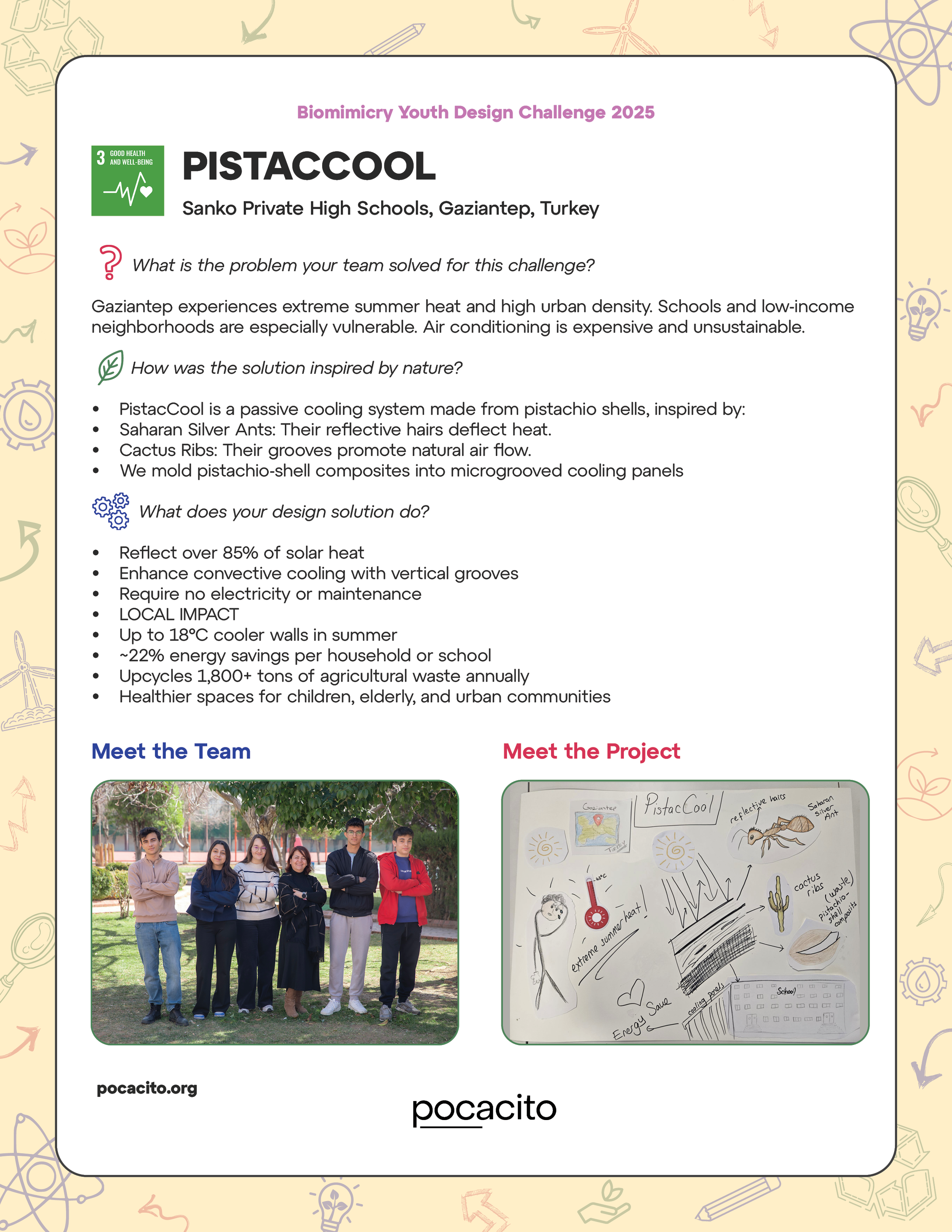 Pocacito Biomimicry Posters8.png