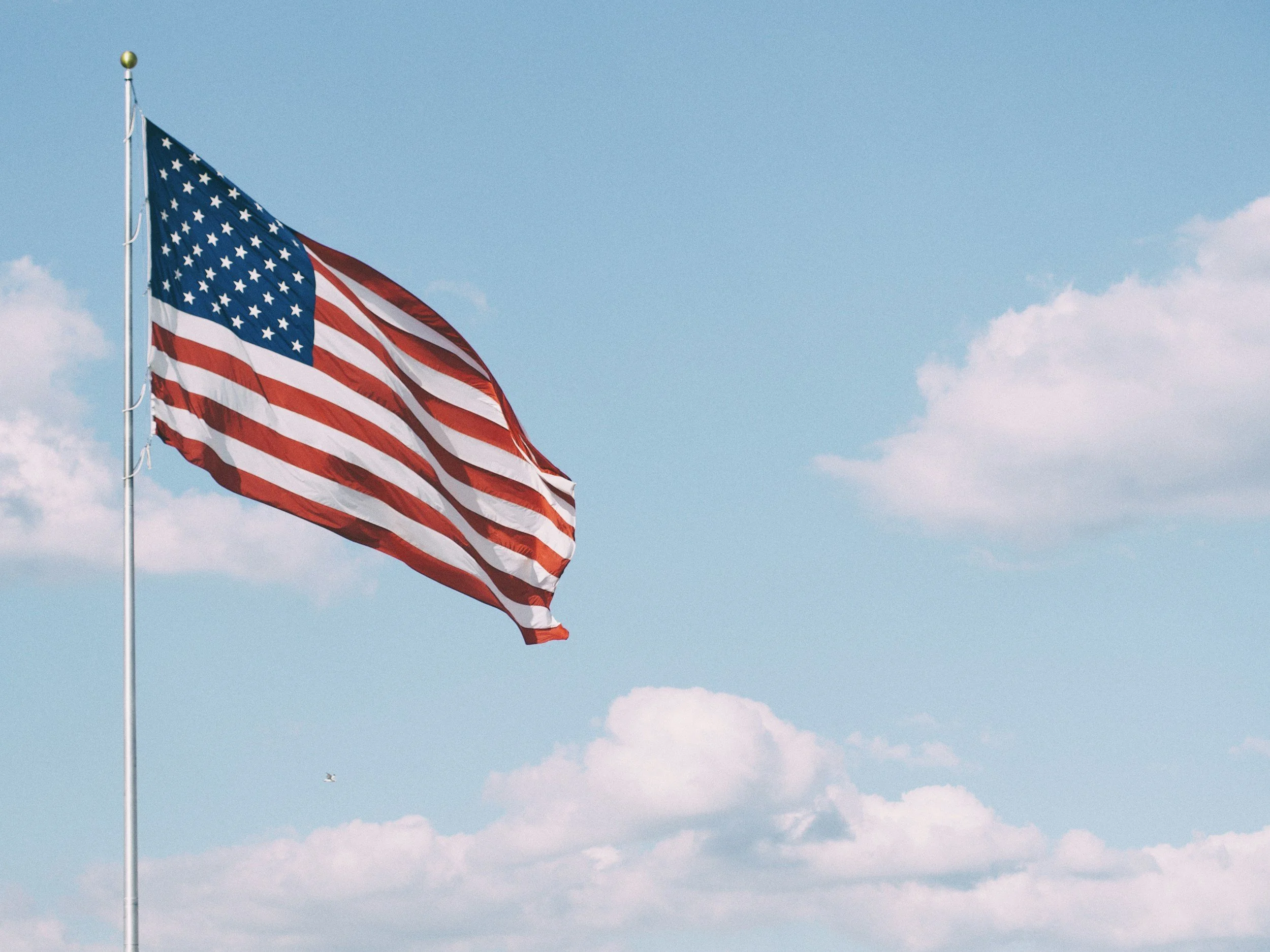 What does freedom mean to you?