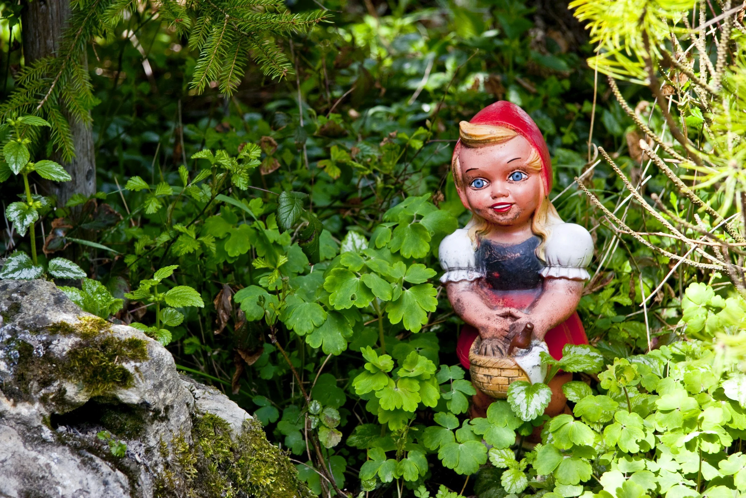 Was it Little Red Riding Hood's Fault she was Eaten?