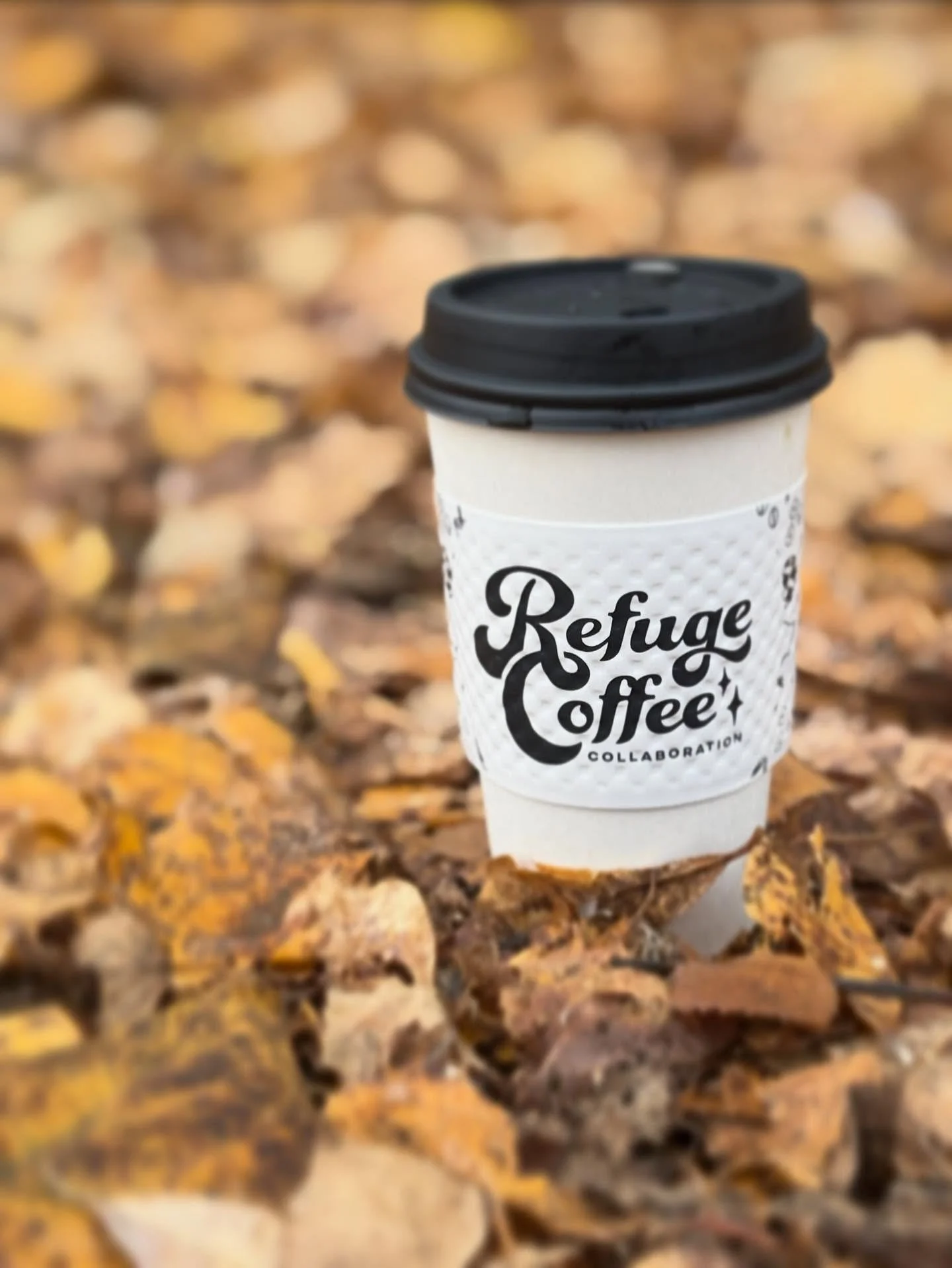 Come by today and grab a cozy fall drink!

We&rsquo;re open from 8 AM &ndash; 7 PM and would love to see you! Bring a book and spend the day reading, meet up with a friend, or simply take a moment to slow down. Whatever your soul needs today, we&rsqu