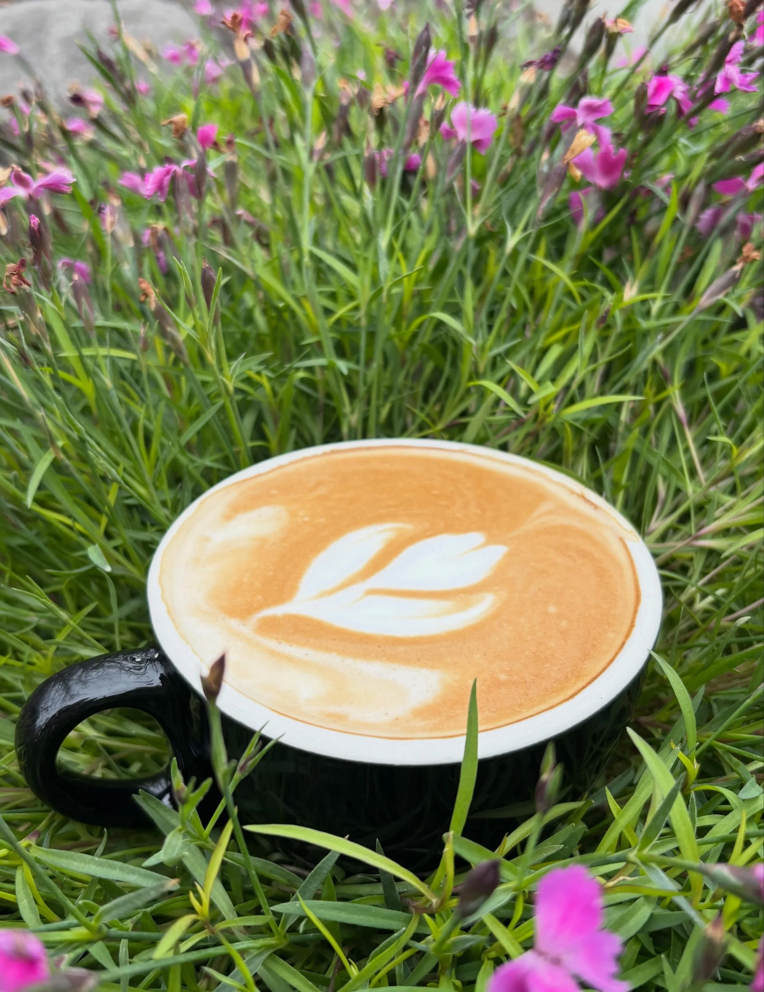 **Manifesting Summer**

Outside may still feel chilly, but inside the drinks are warm and our space is cozy.

We are open today and tomorrow from 8 AM to 7 PM. We would love to see your smiling faces, so come by and say hi!