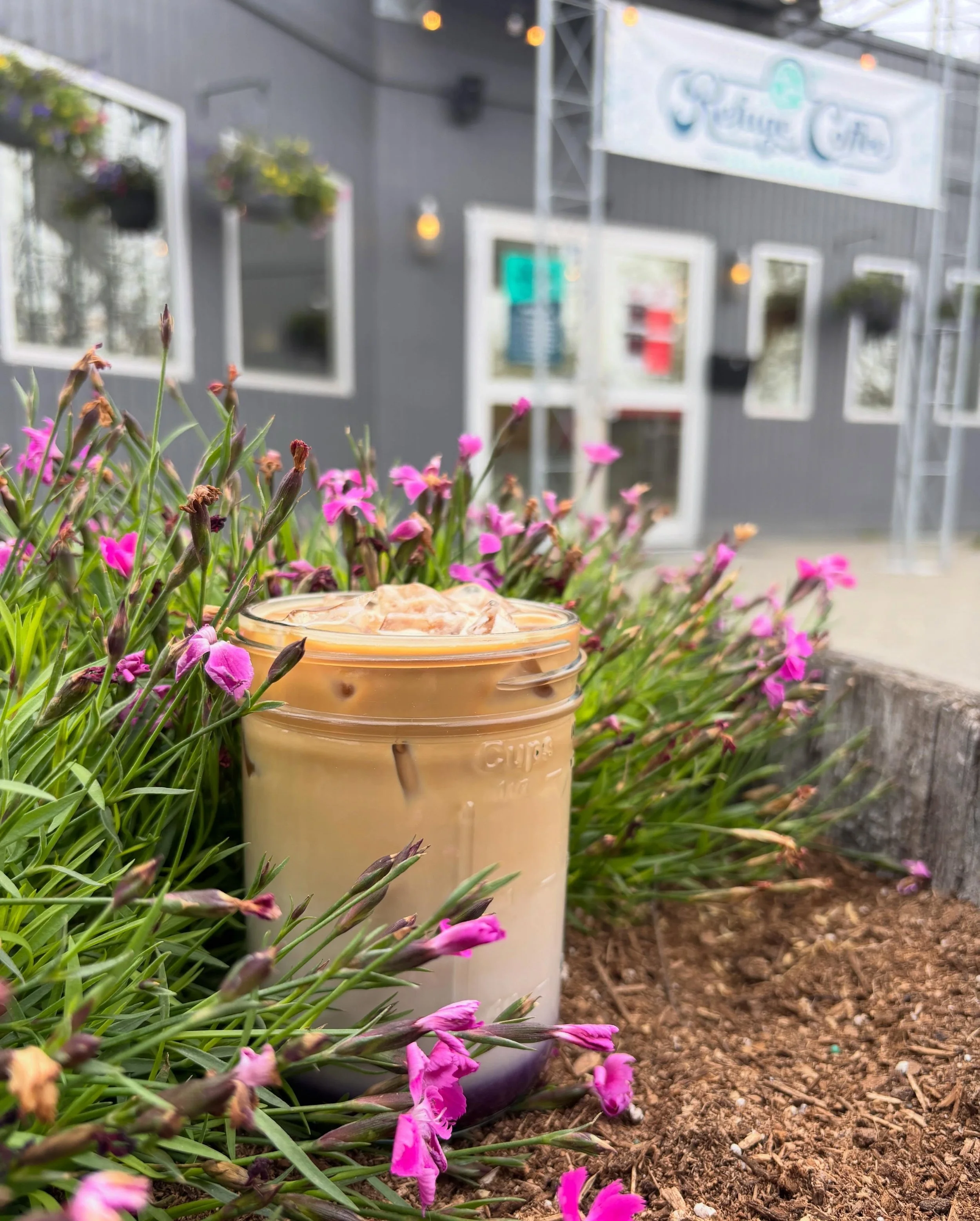 We&rsquo;re officially declaring that summer has arrived in Anchorage.

How do we know?

The sun is shining. The patio is getting more use. The number of iced drinks flying across the counter has officially passed the hot drinks. And there&rsquo;s a 