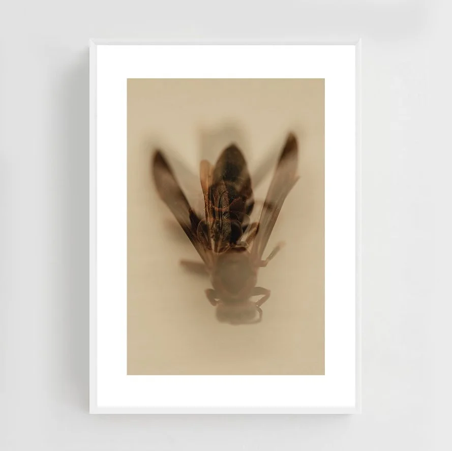 Insects_001_Metal_white.jpg