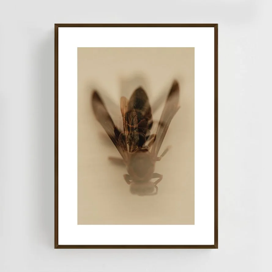 Insects_001_Metal_copper.jpg