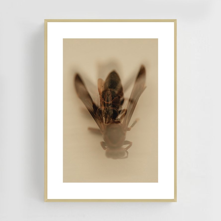 Insects_001_Metal_gold.jpg