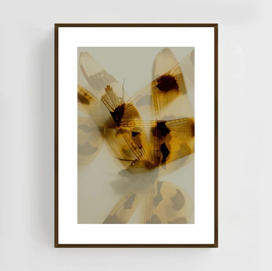 Insects_002_Metal_copper.jpg