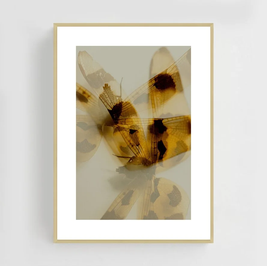 Insects_002_metal_gold.jpg