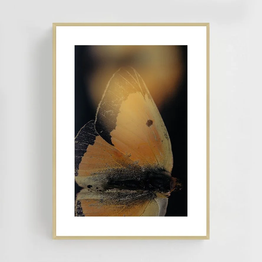 Insects_005_metal_gold.jpg