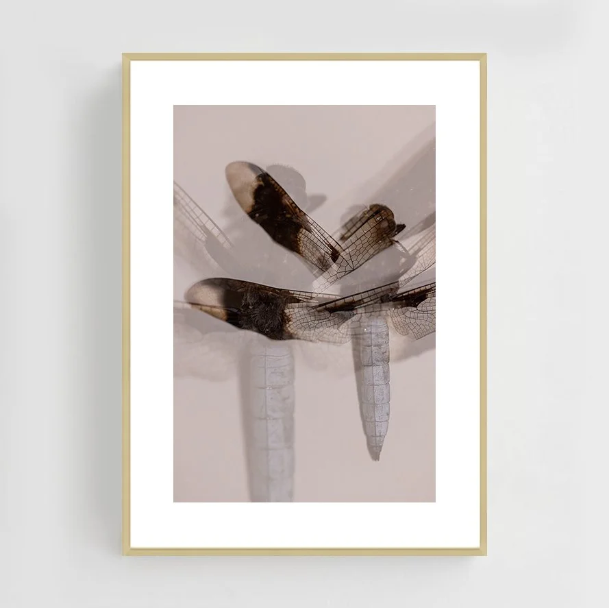 Insects_006_metal_gold.jpg