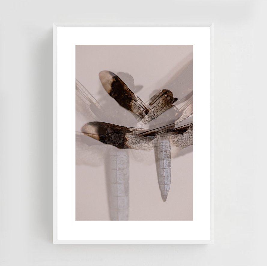 Insects_006_metal_white.jpg