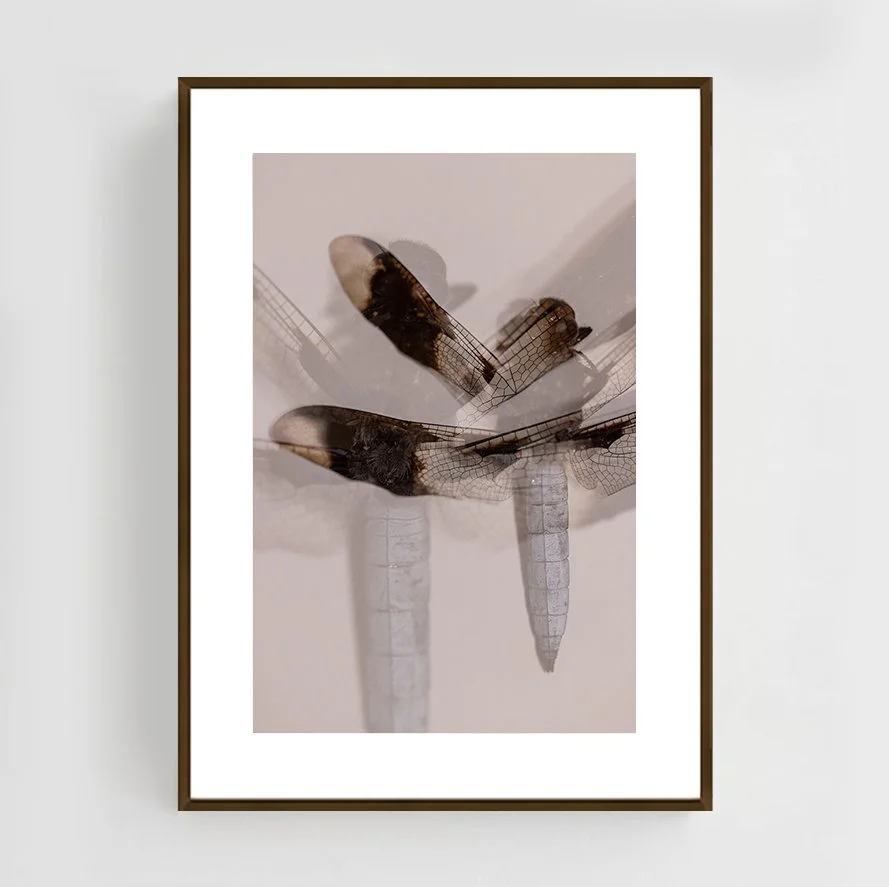 Insects_006_metal_copper.jpg