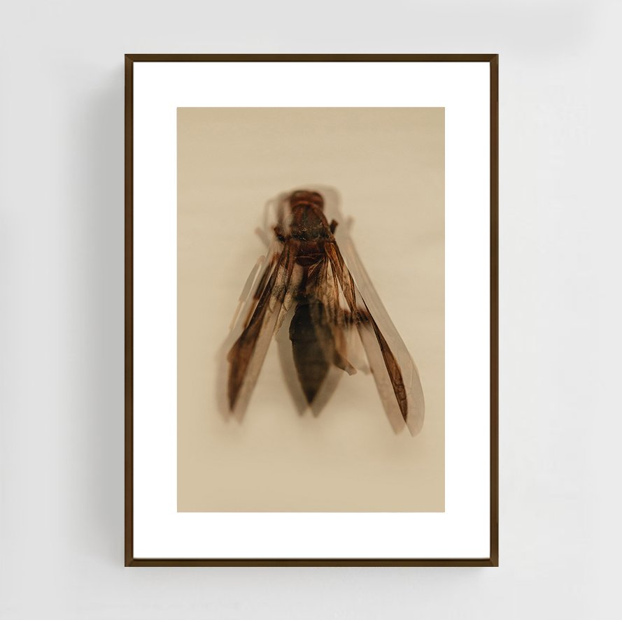 Insects_004_metal_copper.jpg
