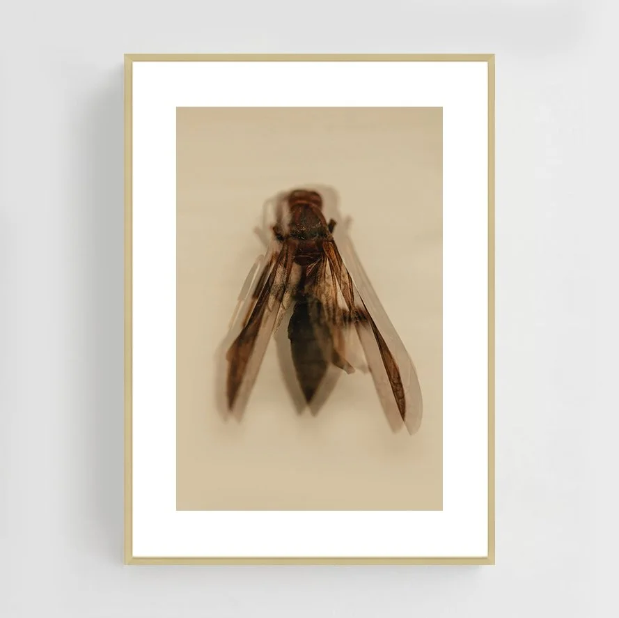 Insects_004_metal_gold.jpg