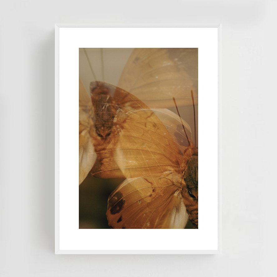 Insects_008_metal_white.jpg