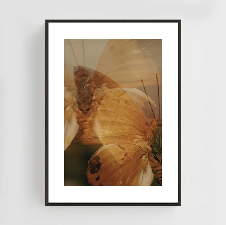 Insects_008_metal_black.jpg