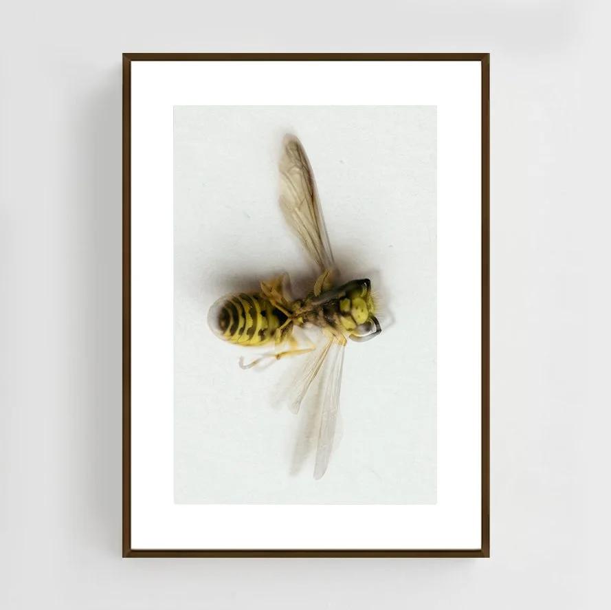 Insects_011_metal_copper.jpg