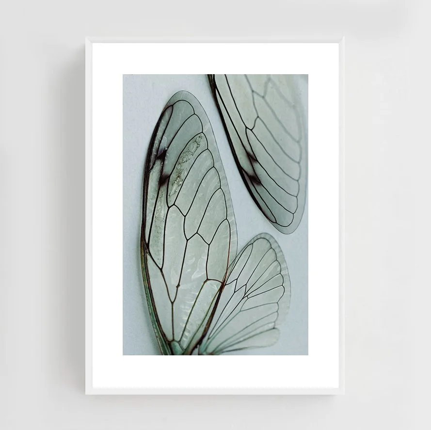 Insects_012_metal_white.jpg