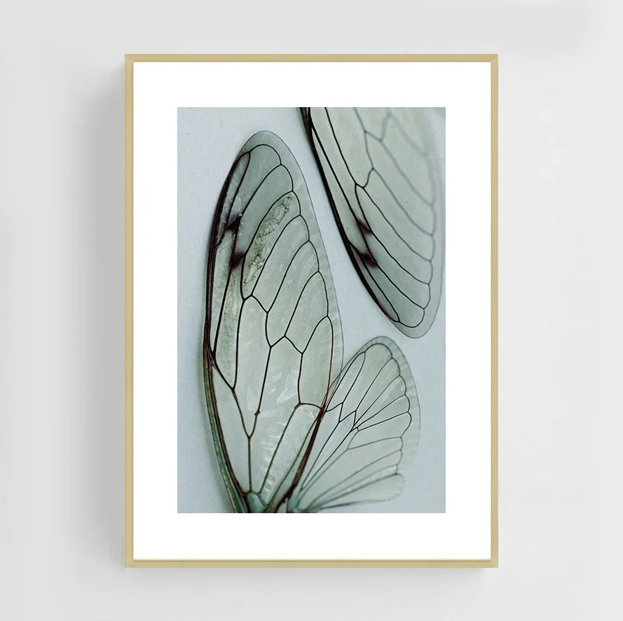 Insects_012_metal_gold.jpg
