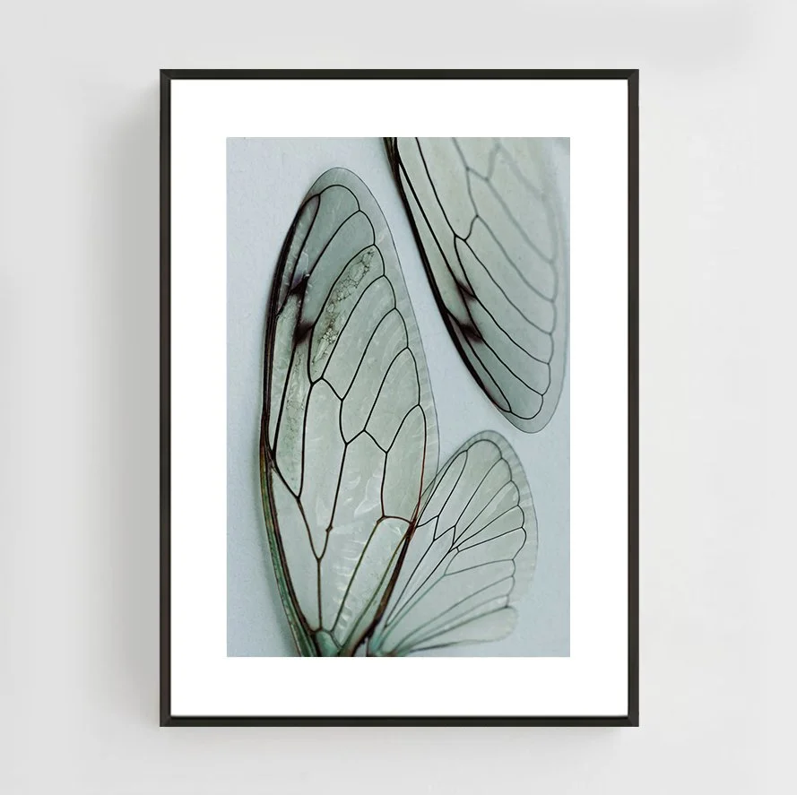 Insects_012_metal_black.jpg