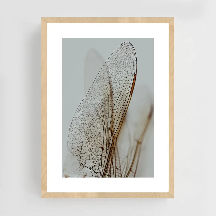Insects_013_maple.jpg