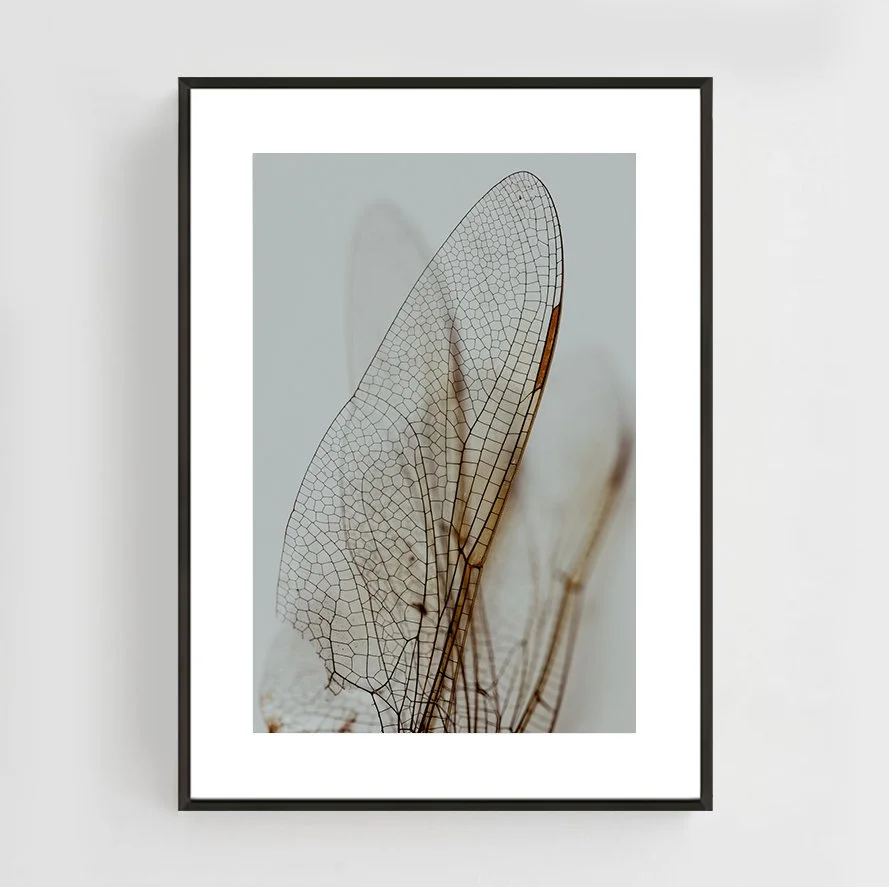 Insects_013_metal_black.jpg