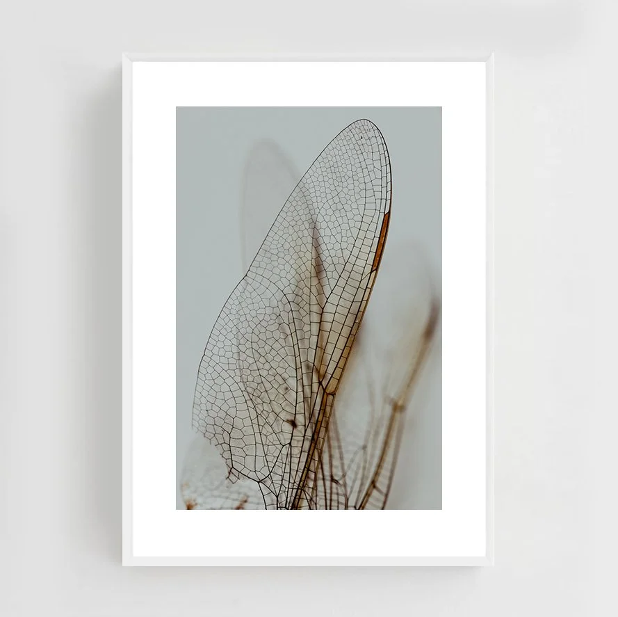 Insects_013_metal_white.jpg