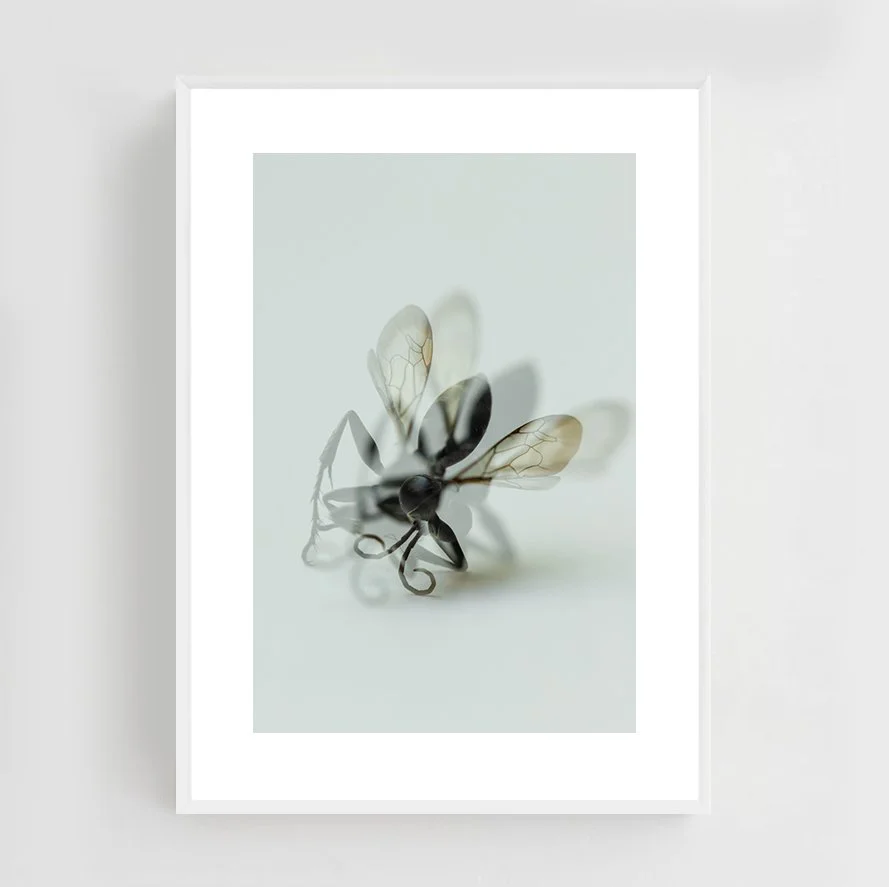 Insects_014_metal_white.jpg