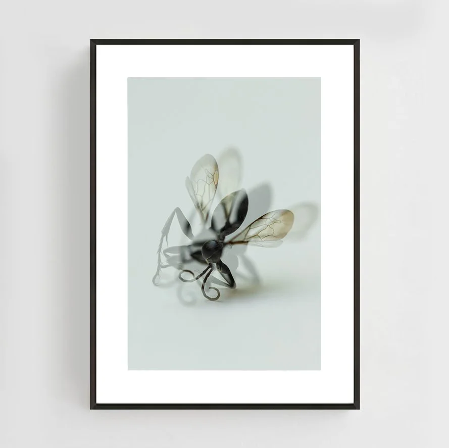 Insects_014_metal_black.jpg
