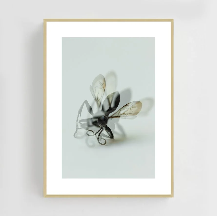 Insects_014_metal_gold.jpg