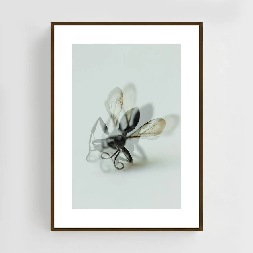 Insects_014_metal_copper.jpg