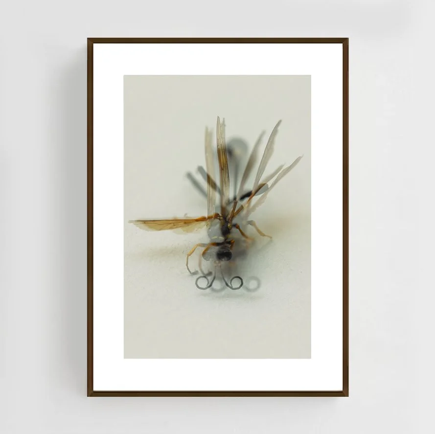 Insects_015_metal_copper.jpg