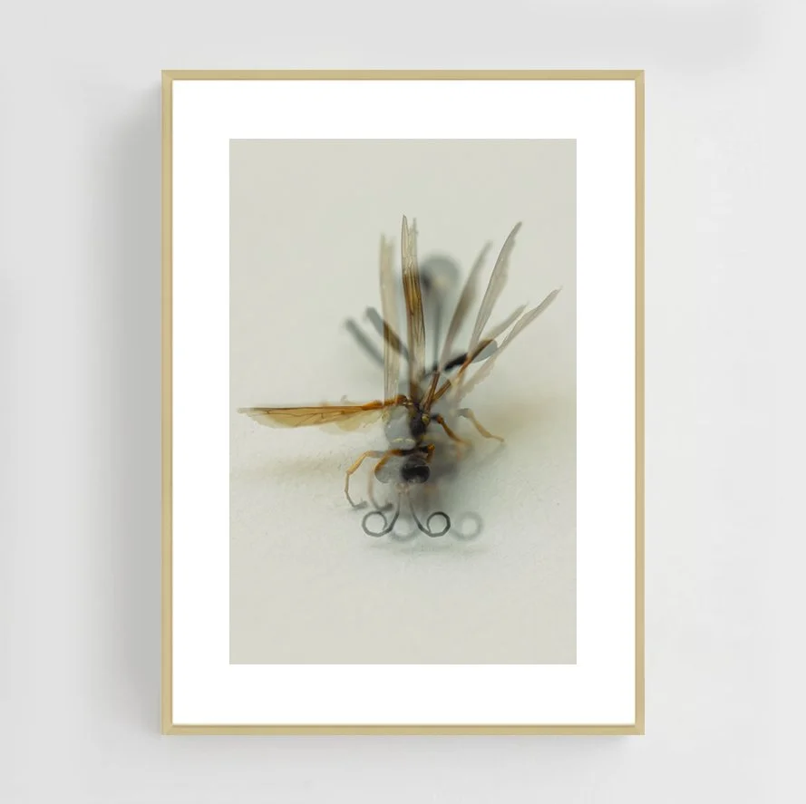 Insects_015_metal_gold.jpg