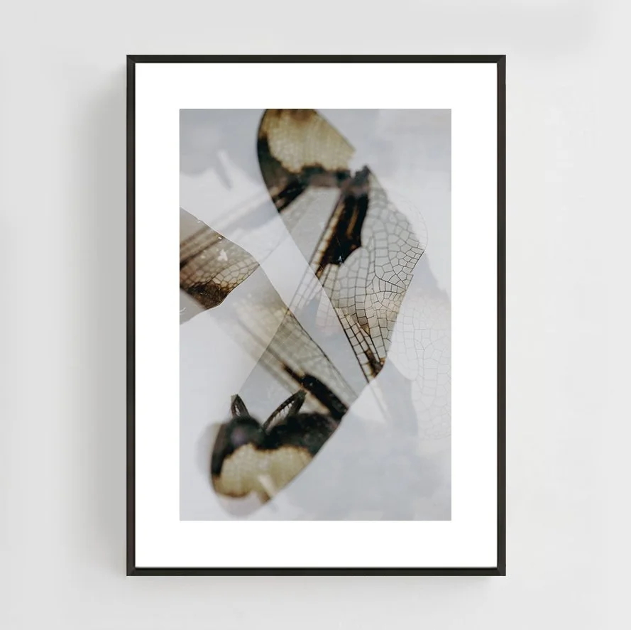 Insects_017_metal_black.jpg