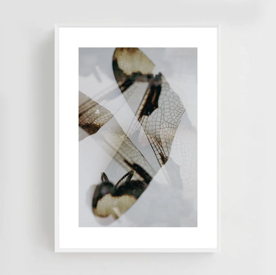 Insects_017_metal_white.jpg