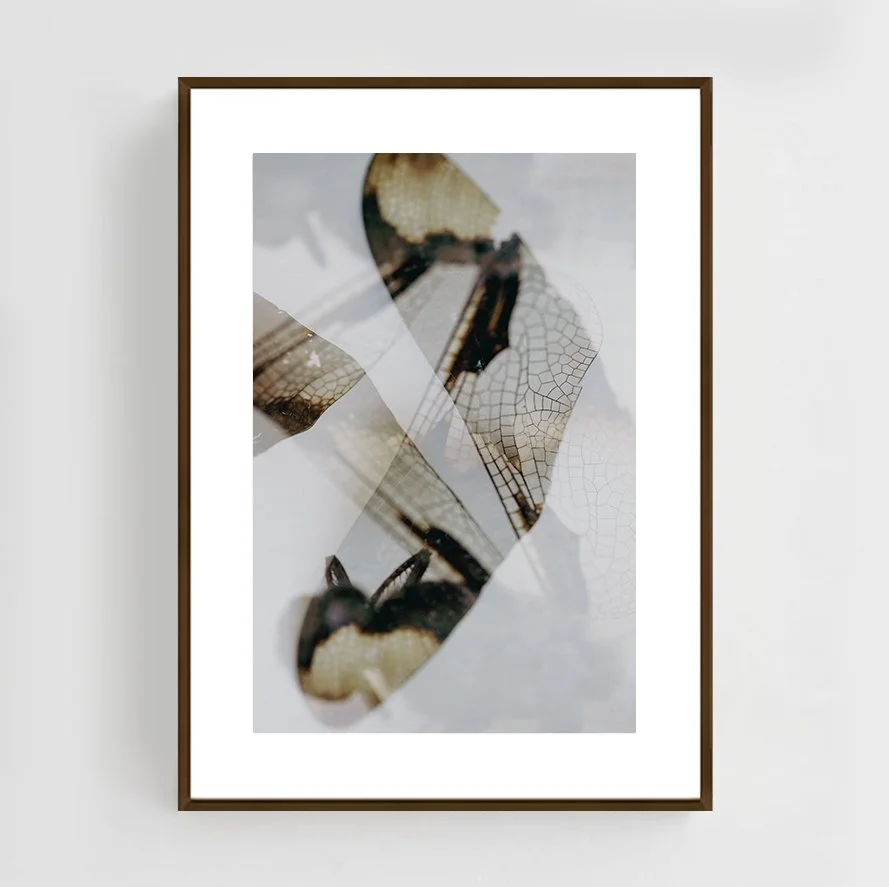 Insects_017_metal_copper.jpg