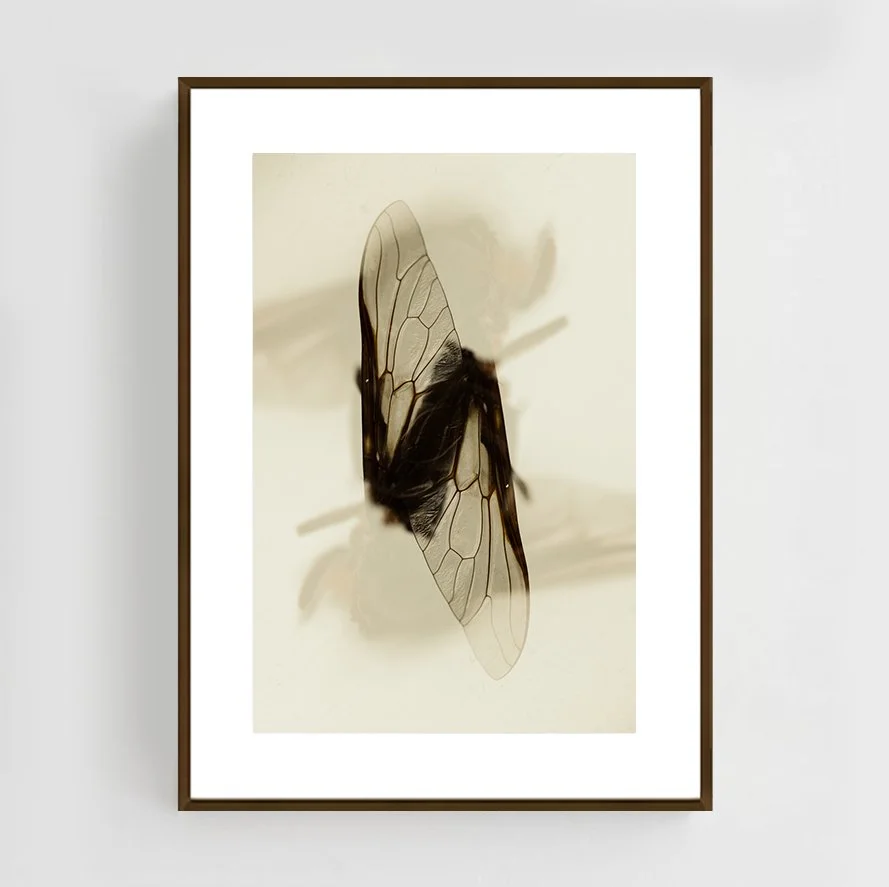 Insects_020_metal_copper.jpg