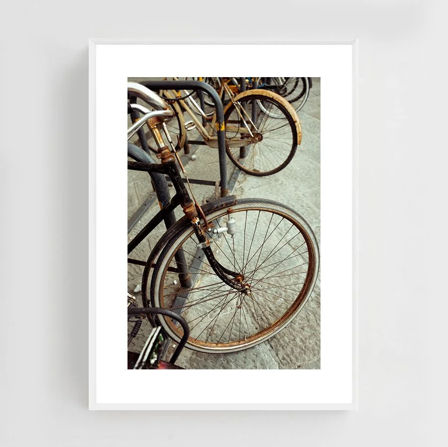 Florence_001_white.jpg