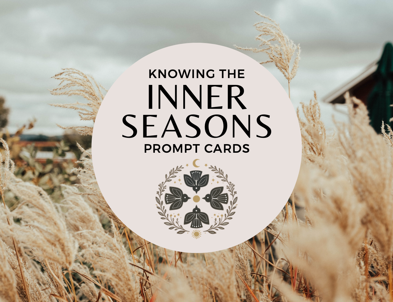 Screenshot 2026-01-04 at 11.58.16 AM.png