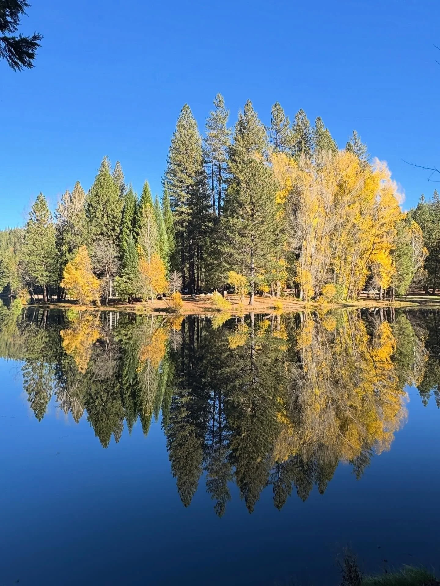 Thanksgiving week was filled with family game nights, dinner parties, brightly colored hikes, and cozy cabin nights.🍁🪾🎲🍷🕯️

#family #kenshawchalet #exploreArnold #grateful