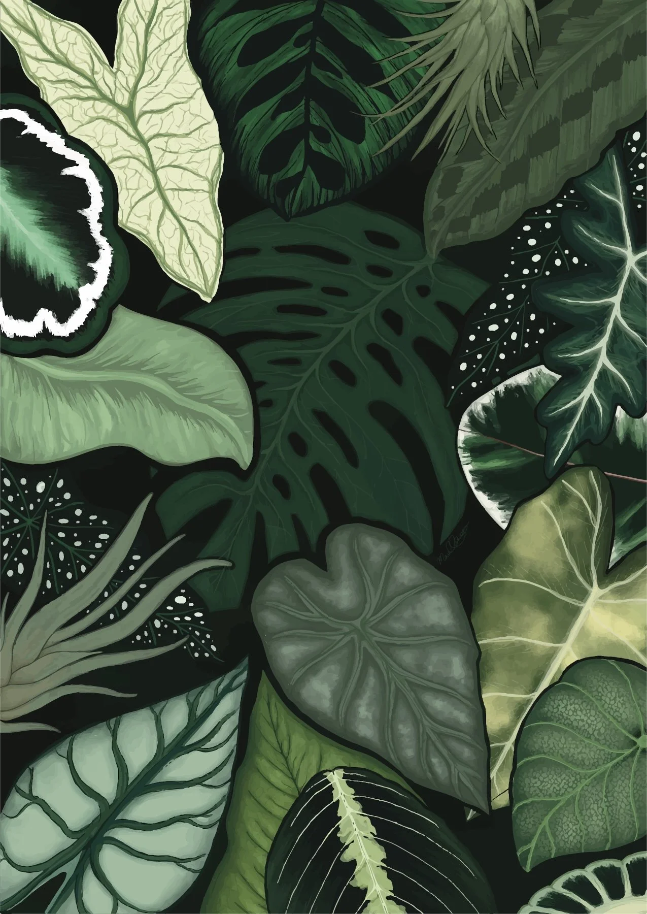 For Tropical Plant Lovers
(Digital media)