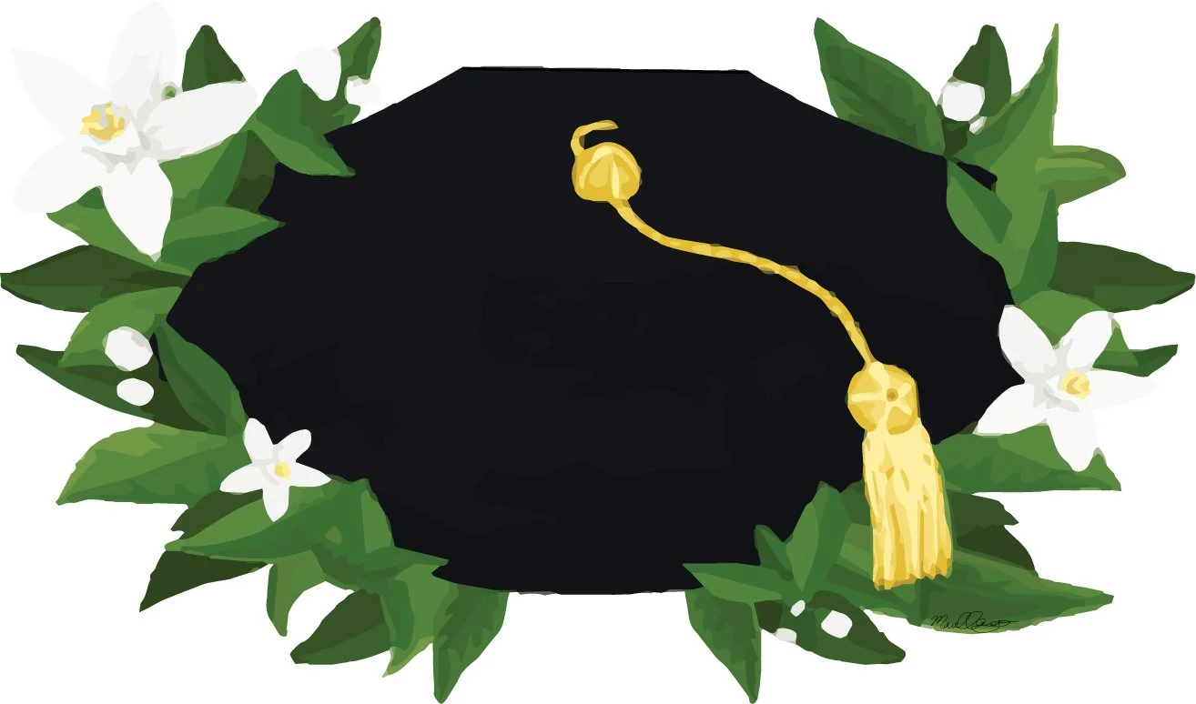 Doctoral graduation cap
(Digital media)