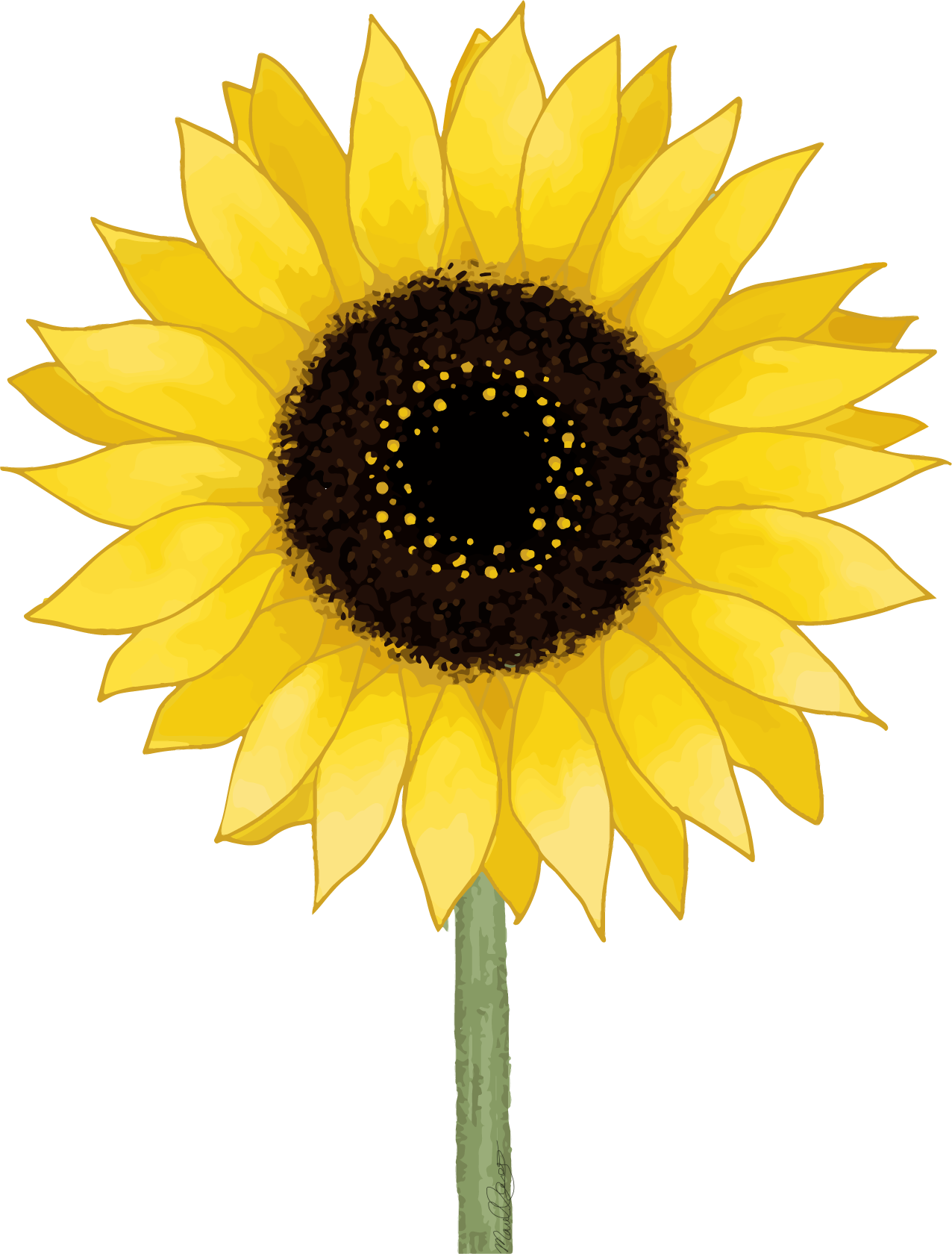 Illustration of a sunflower with bright yellow petals, brown center, green stem, and a purple accent behind the petals.