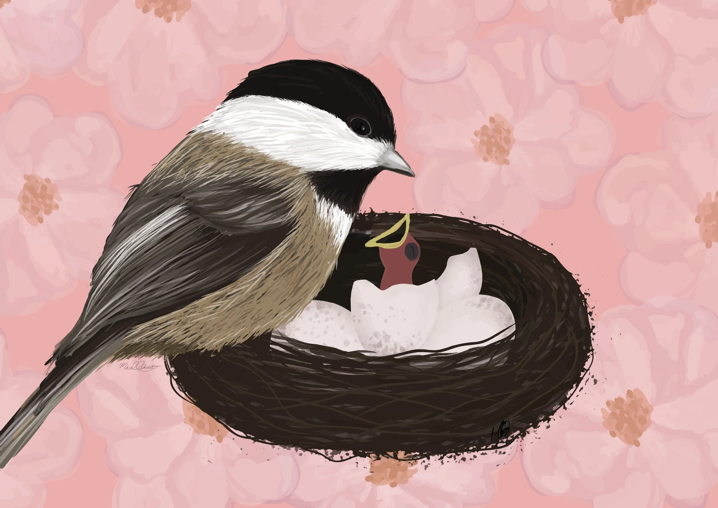 Mother and baby chickadee duo
(Digital media)